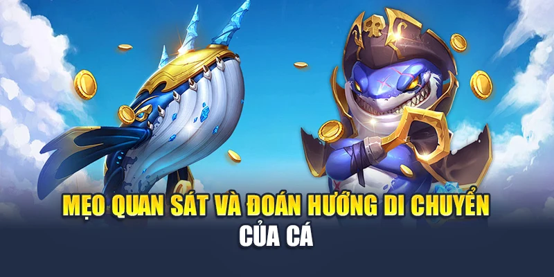 Mẹo quan sát và đoán hướng di chuyển của cá