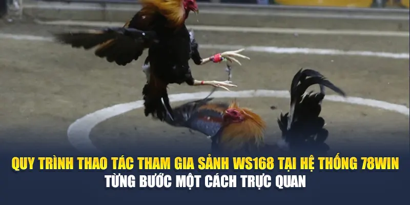Sảnh Đá Gà WS168 Tại 78WIN – Cuộc Đấu Đỉnh Cao Mở Màn 7 Quy trình thao tác tham gia sảnh WS168 tại hệ thống 789WIN từng bước một cách trực quan