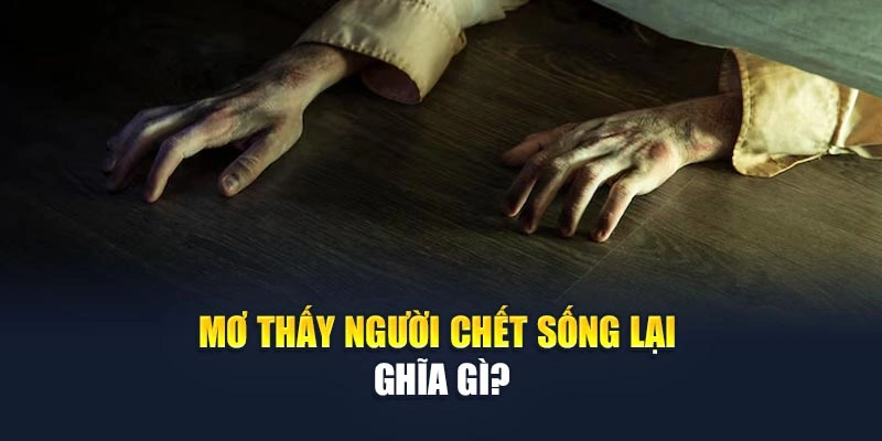 Mơ Thấy Người Chết Sống Lại Nghĩa Gì? Giải mã Thông Điệp 6 Mơ thấy người chết sống lại nghĩa gì